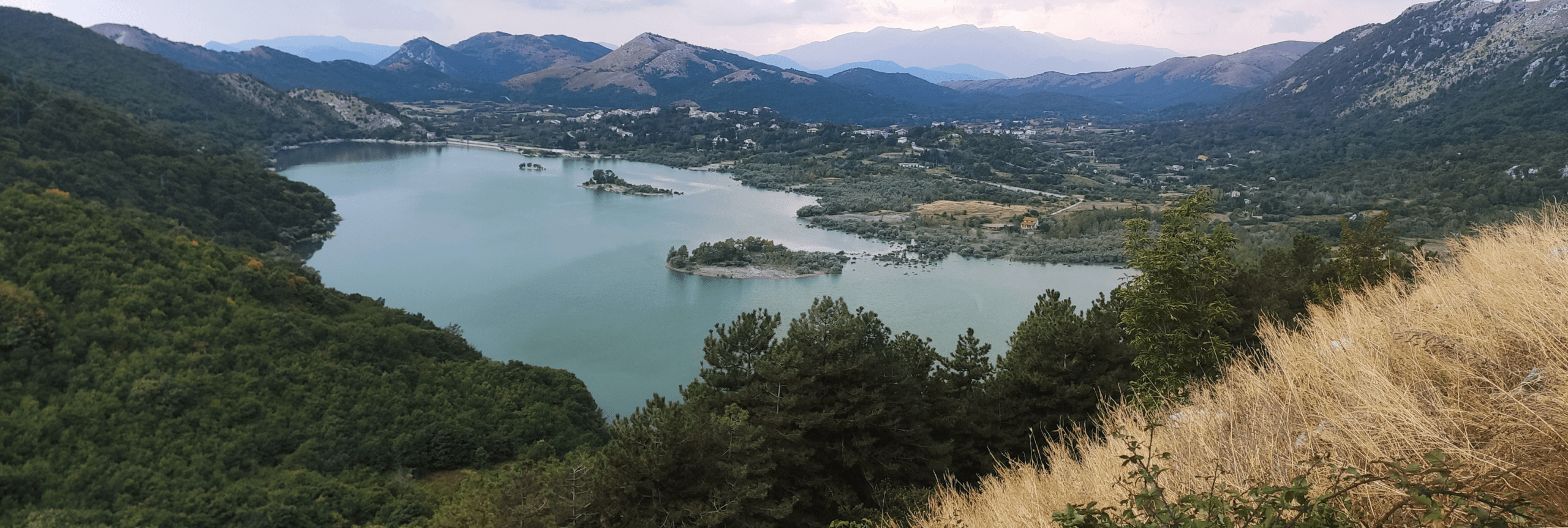 lago gallo